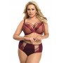 GORSENIA LINGERIE / Soft Bra