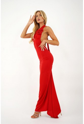 Yolo Look / Long Evening Dress