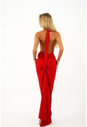 Yolo Look / Long Evening Dress